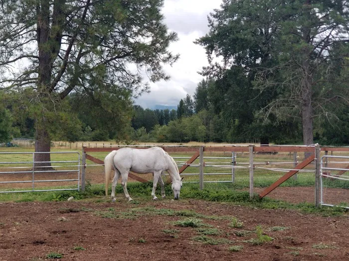 Foothills Veterinary Hospital/Performance Equine Picture 4