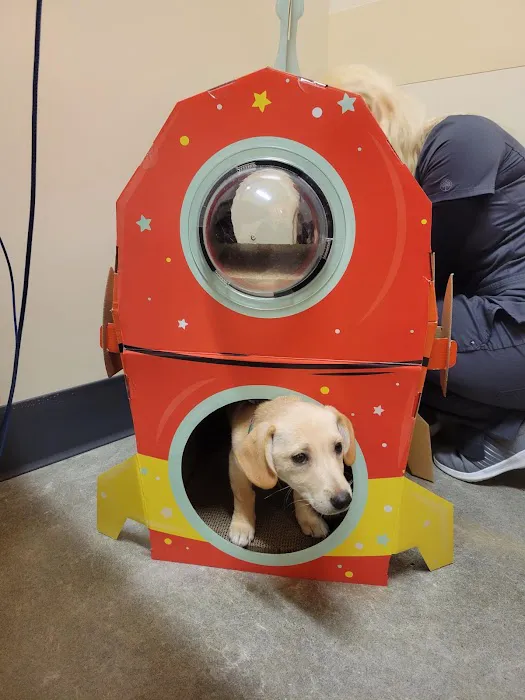 BoosterPet Veterinary Care & Urgent Care in Bonney Lake Picture 5