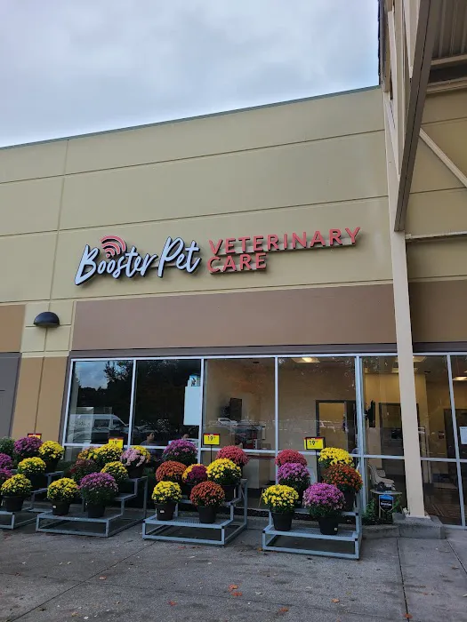 BoosterPet Veterinary Care & Urgent Care in Bonney Lake Picture 3