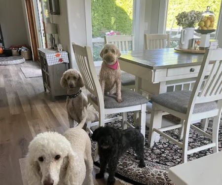 River Road Animal Hospital