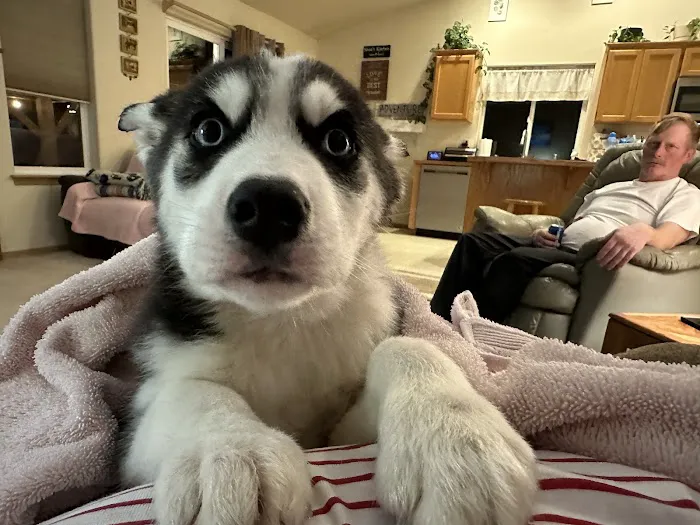 River Road Animal Hospital Picture 5