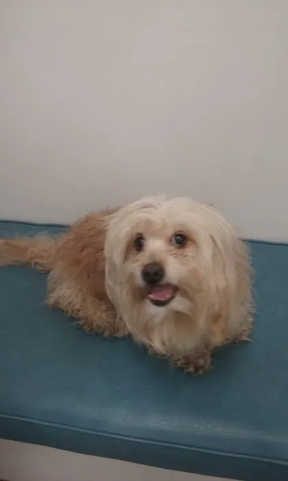 River Road Animal Hospital Picture 10