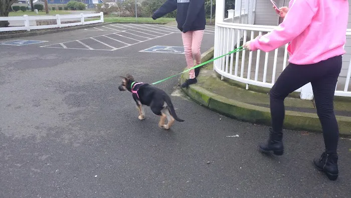 River Road Animal Hospital Picture 9