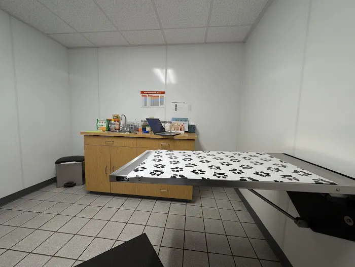 River Road Animal Hospital Picture 8