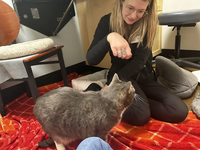 Heart and Soul Veterinary Center Picture 2