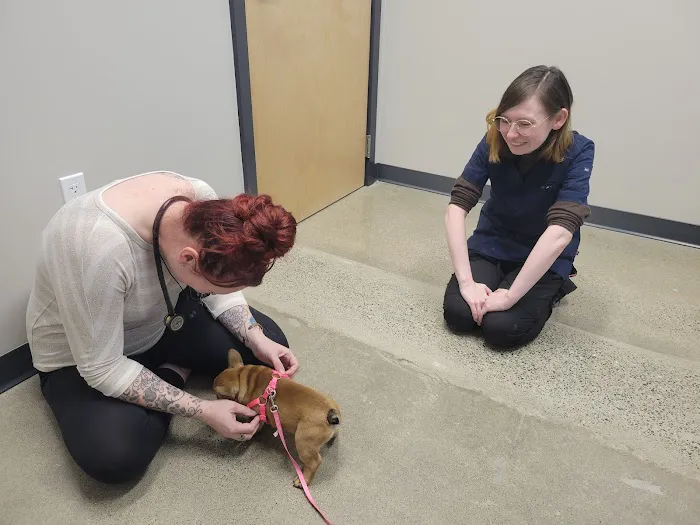 Heart and Soul Veterinary Center Picture 3