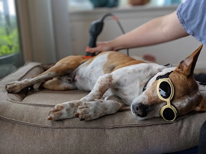 Ruff Day Vet + Pet Gym Picture 2
