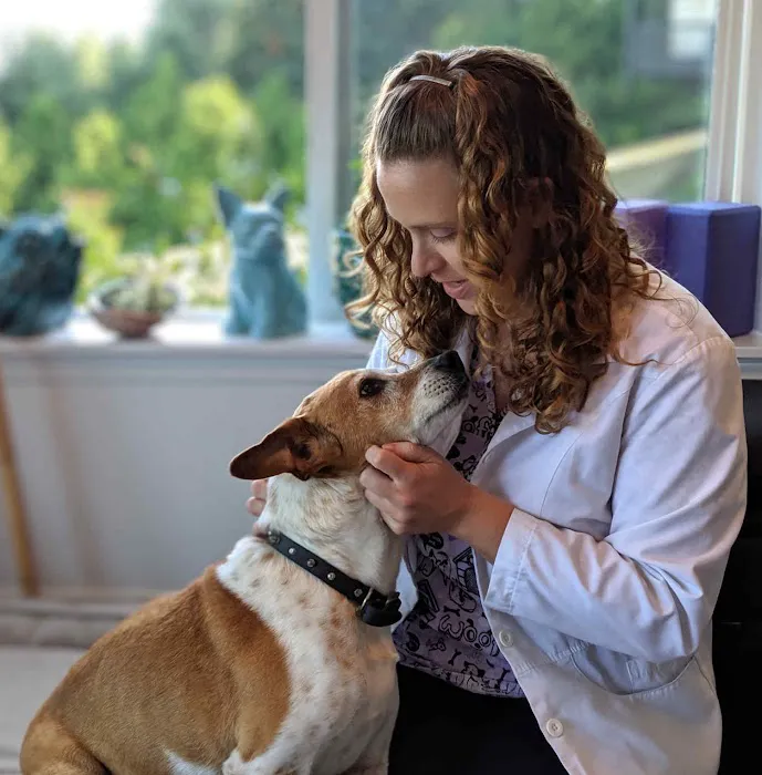 Ruff Day Vet + Pet Gym Picture 8