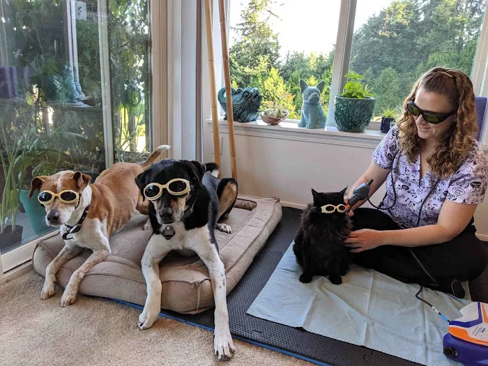 Ruff Day Vet + Pet Gym Picture 7