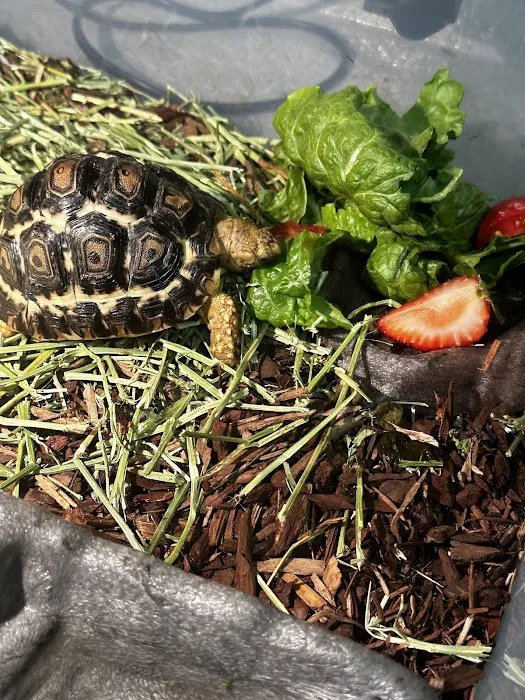 Evergreen Avian and Exotic Animal Hospital Picture 3