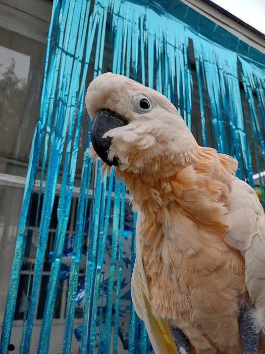 Evergreen Avian and Exotic Animal Hospital Picture 1