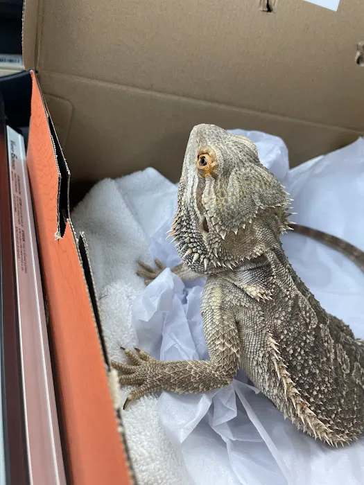 Evergreen Avian and Exotic Animal Hospital Picture 2