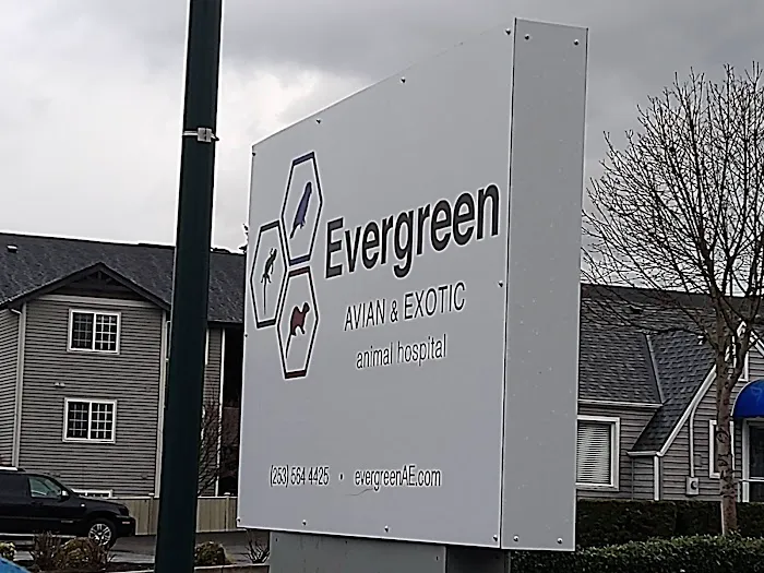 Evergreen Avian and Exotic Animal Hospital Picture 5