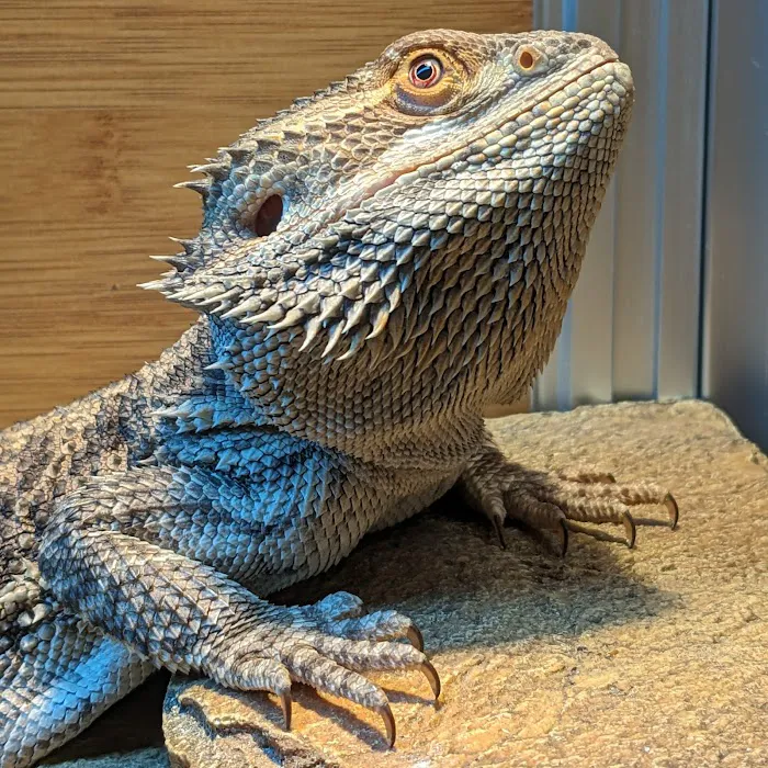 Evergreen Avian and Exotic Animal Hospital Picture 8