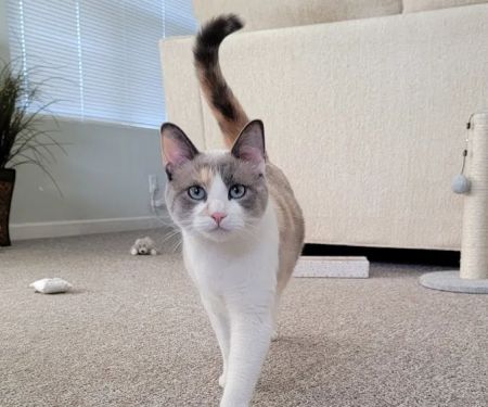 Northwest Spay & Neuter Center