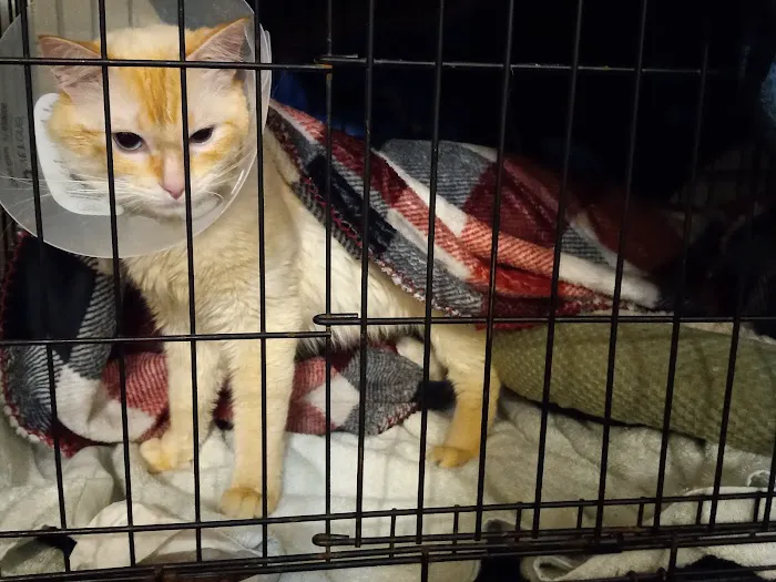 Northwest Spay & Neuter Center Picture 3