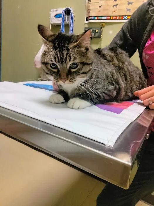 Northwest Spay & Neuter Center Picture 2