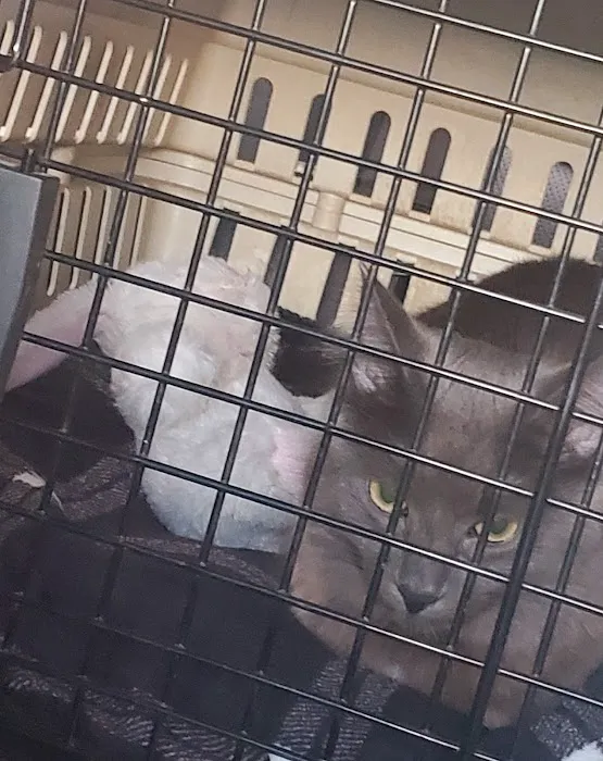 Northwest Spay & Neuter Center Picture 4