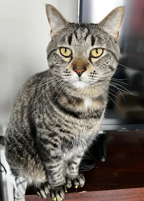 Northwest Spay & Neuter Center Picture 8