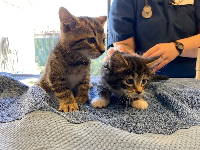 Animal Care Clinic Picture 6