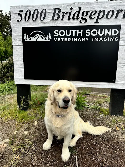 South Sound Veterinary Imaging Picture 1