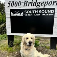 South Sound Veterinary Imaging ico