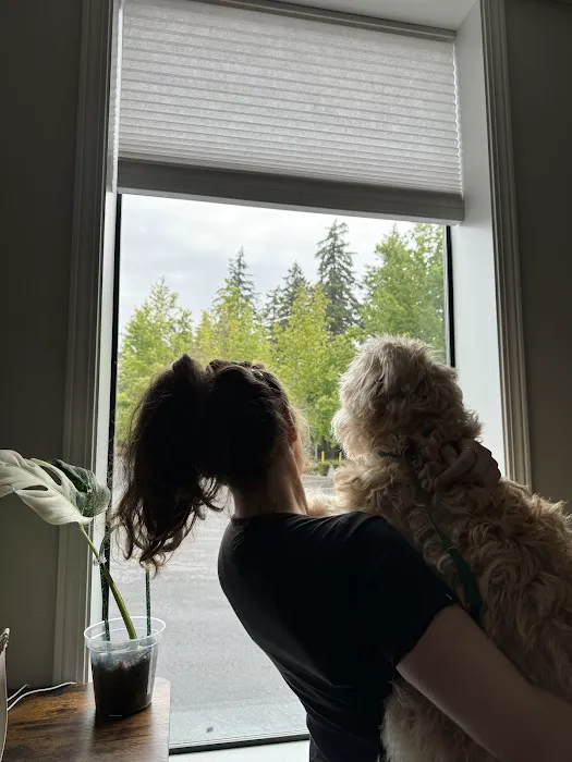 South Sound Veterinary Imaging Picture 3