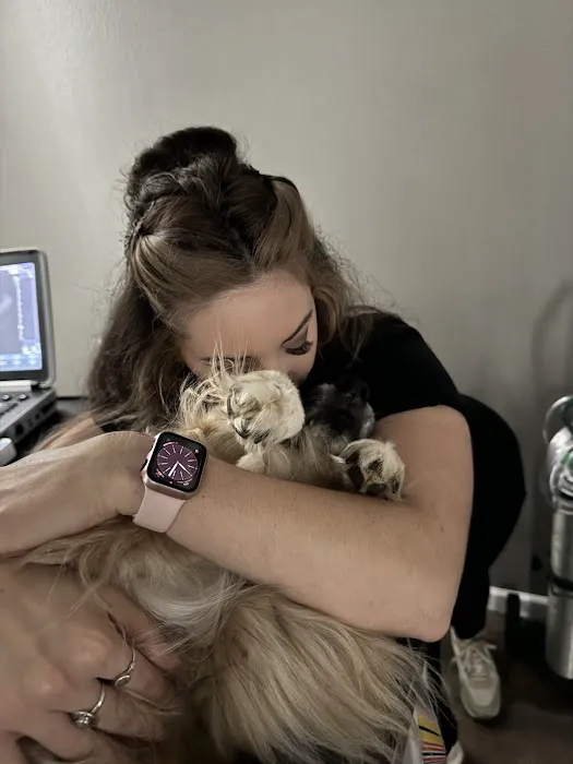 South Sound Veterinary Imaging Picture 2