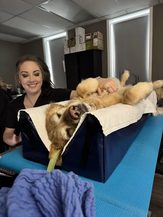 South Sound Veterinary Imaging Picture 5