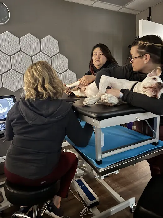 South Sound Veterinary Imaging Picture 8