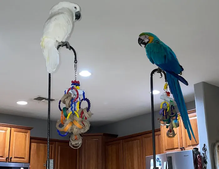 BluePearl Pet Hospital Picture 4