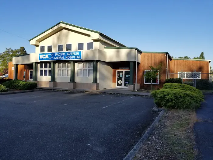 VCA Pacific Avenue Animal Hospital Picture 3