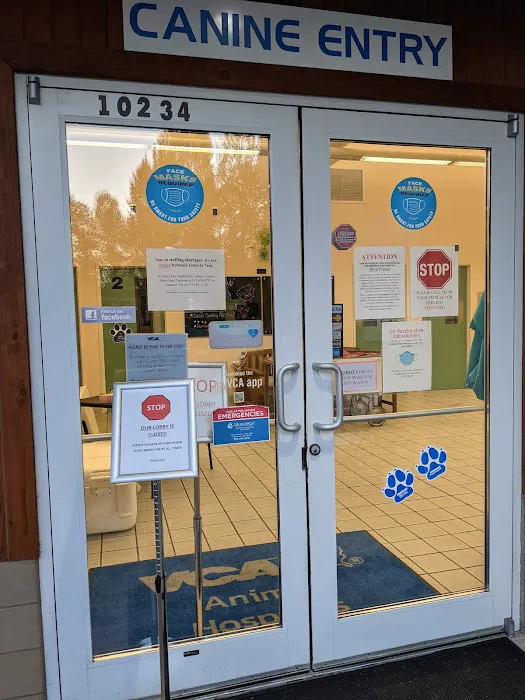 VCA Pacific Avenue Animal Hospital Picture 7