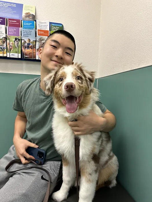 VCA Pacific Avenue Animal Hospital Picture 4