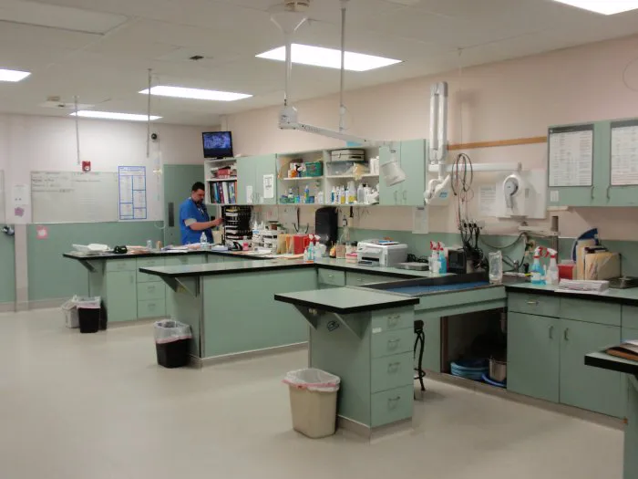 VCA Pacific Avenue Animal Hospital Picture 6