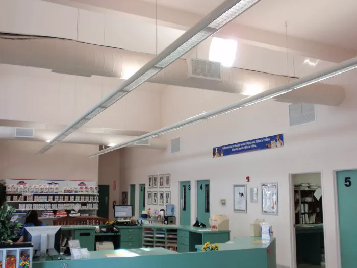 VCA Pacific Avenue Animal Hospital Picture 9