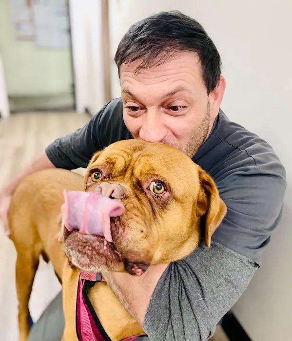 Brook-Ellis Pet Hospital Picture 2