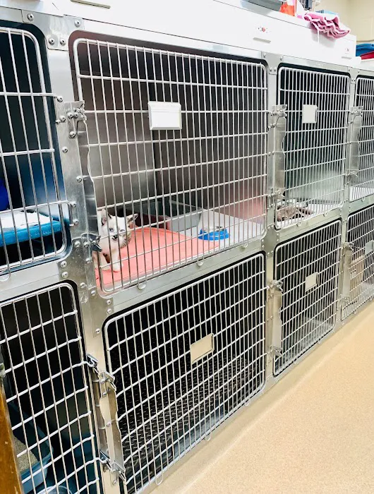 Brook-Ellis Pet Hospital Picture 1