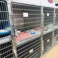 Brook-Ellis Pet Hospital ico