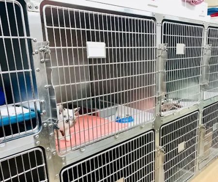 Brook-Ellis Pet Hospital