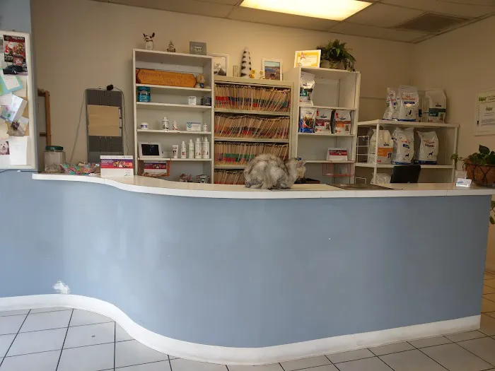 Animal Hospital Picture 2