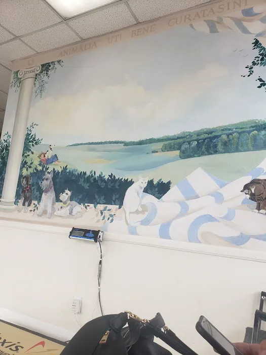 Animal Hospital Picture 10