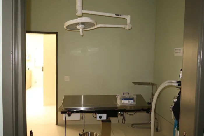 5 Points Companion Animal Hospital Picture 7