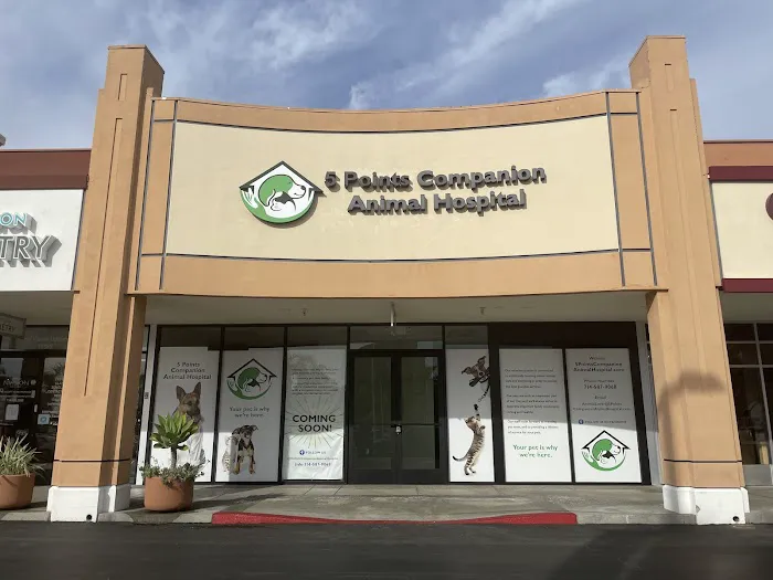 5 Points Companion Animal Hospital Picture 8
