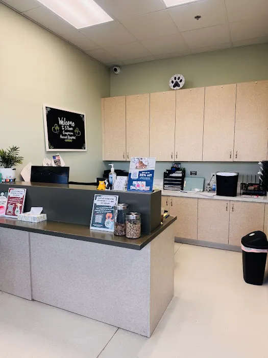5 Points Companion Animal Hospital Picture 5