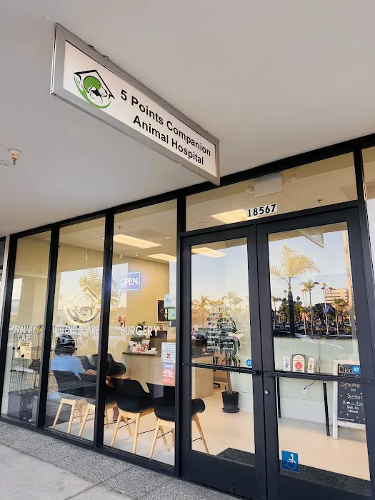 5 Points Companion Animal Hospital Picture 10