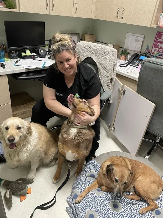 5 Points Companion Animal Hospital Picture 9