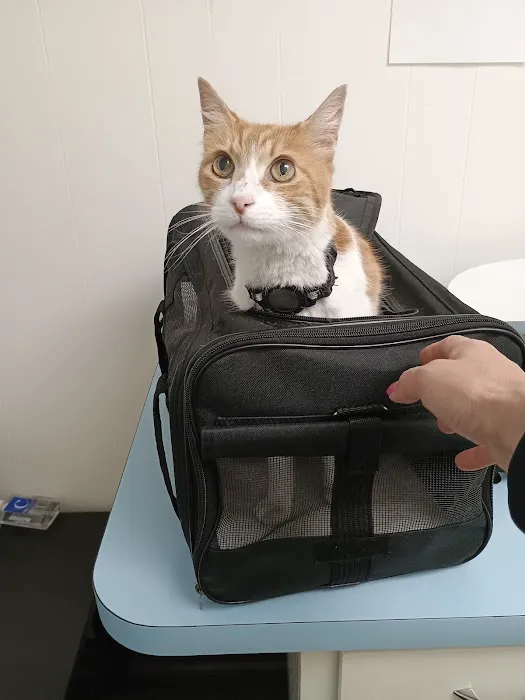 Beach Garfield Veterinary Hospital Picture 1