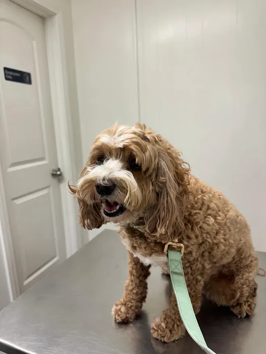 Beach Garfield Veterinary Hospital Picture 10