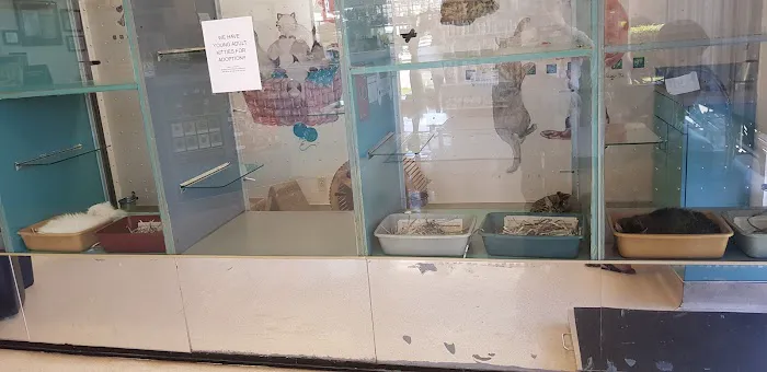 Brookfield Pet Hospital Plus Picture 5